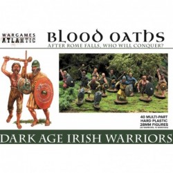 Dark Age Irish Warriors (40)